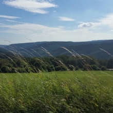 IMG-20160815-WA0015.JPG